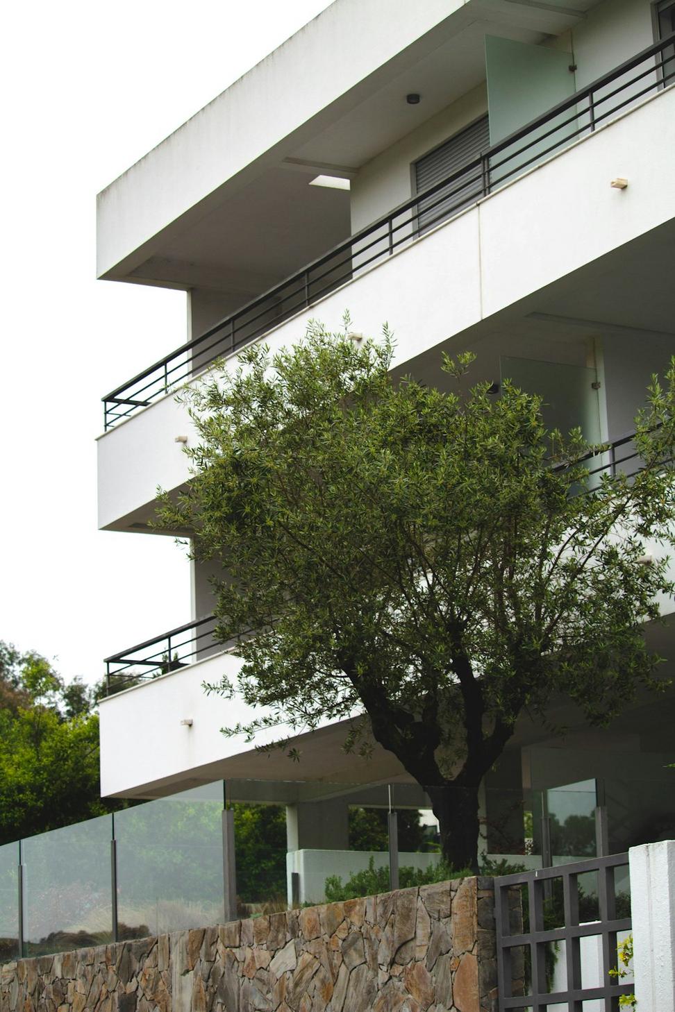 Featured Project