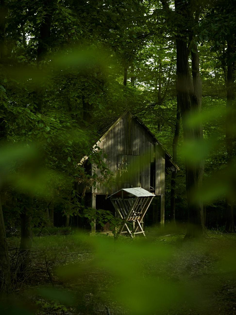 Muskoka Retreat